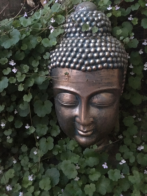 Meditation at Macclesfield RSL